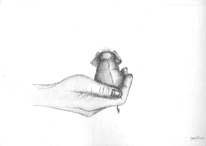 voorbeeld-kunst