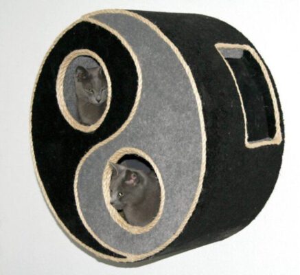 Michel Sehstedt - Ying Yang Annet Bartels - 20190220_155753