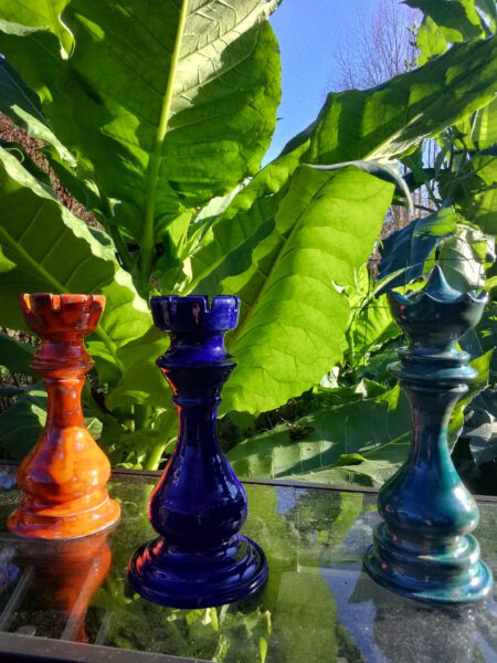 Michel Sehstedt1 Afke Borgman - Frans Landschap